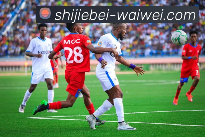 世界杯外围平台生态图