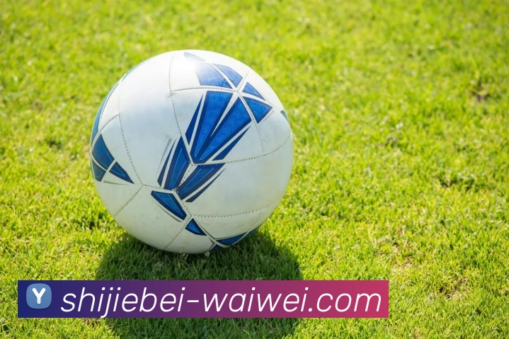 世界杯外围全站App